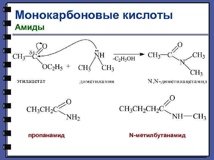 Монокарбоновые кислоты Амиды пропанамид N-метилбутанамид 