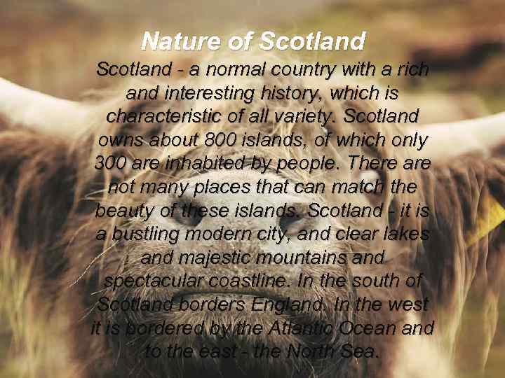 Nature of Scotland - a normal country with a rich and interesting history, which