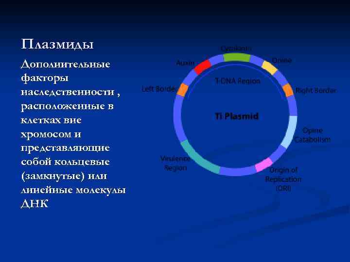 Плазмиды Дополнительные факторы наследственности , расположенные в клетках вне хромосом и представляющие собой кольцевые