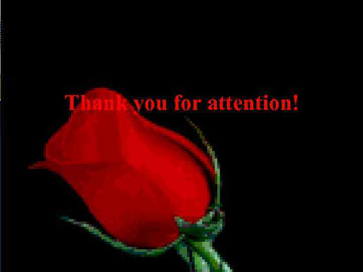 Thank you for attention! 