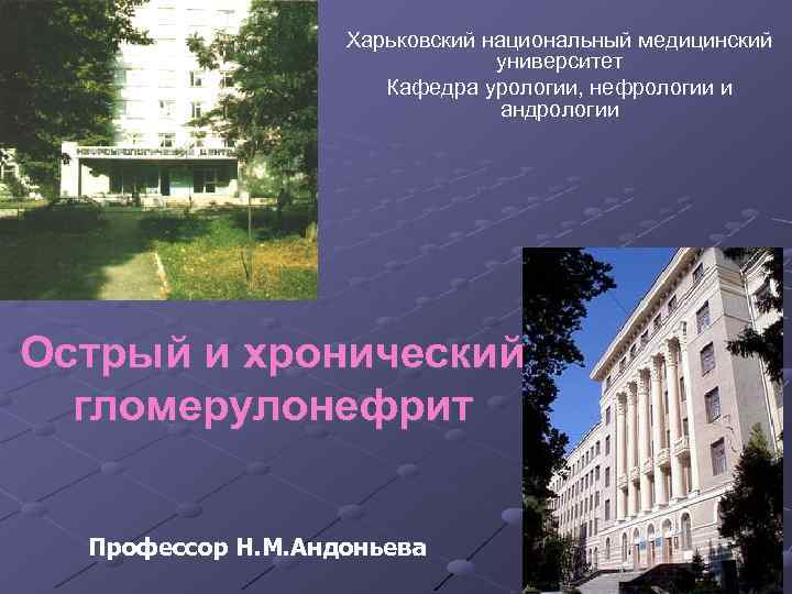 Харьковский национальный медицинский университет Кафедра урологии, нефрологии и андрологии Острый и хронический гломерулонефрит Профессор