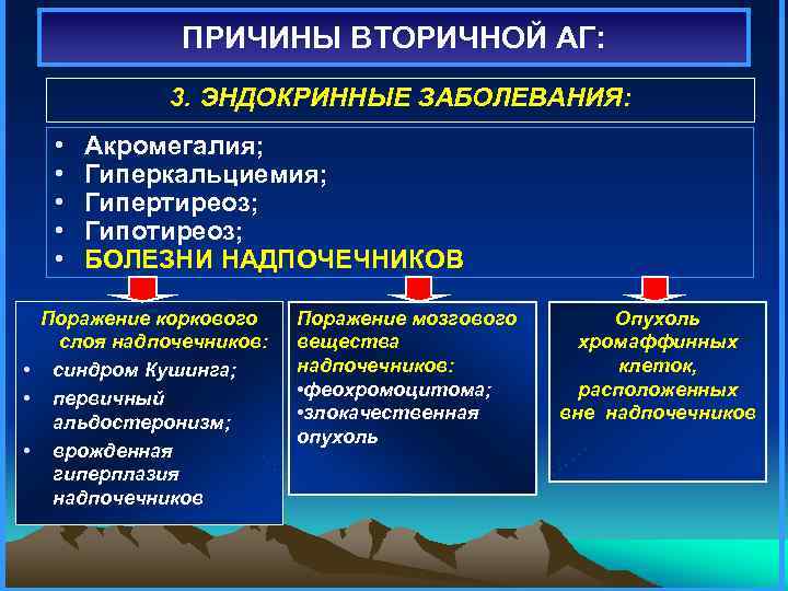 ПРИЧИНЫ ВТОРИЧНОЙ АГ: 3. ЭНДОКРИННЫЕ ЗАБОЛЕВАНИЯ: • • • Акромегалия; Гиперкальциемия; Гипертиреоз; Гипотиреоз; БОЛЕЗНИ