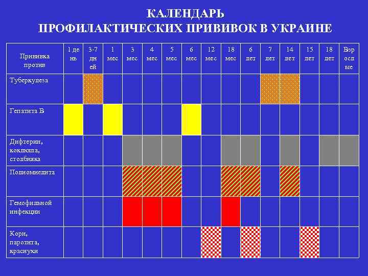 КАЛЕНДАРЬ ПРОФИЛАКТИЧЕСКИХ ПРИВИВОК В УКРАИНЕ Прививка против Туберкулеза Гепатита В Дифтерии, коклюша, столбняка Полиомиелита