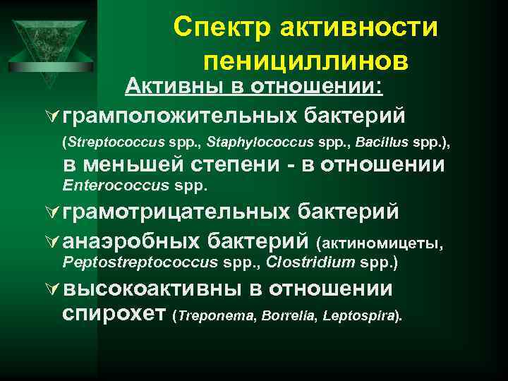 Спектр активности пенициллинов Активны в отношении: Ú грамположительных бактерий в меньшей степени - в