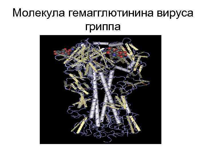 Молекула гемагглютинина вируса гриппа 