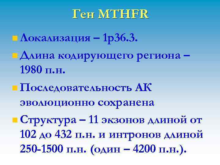 Ген MTHFR n Локализация – 1 р36. 3. n Длина кодирующего региона – 1980