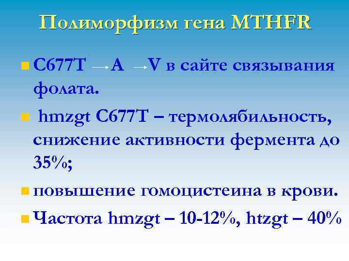 Полиморфизм гена MTHFR n С 677 Т А V в сайте связывания фолата. n