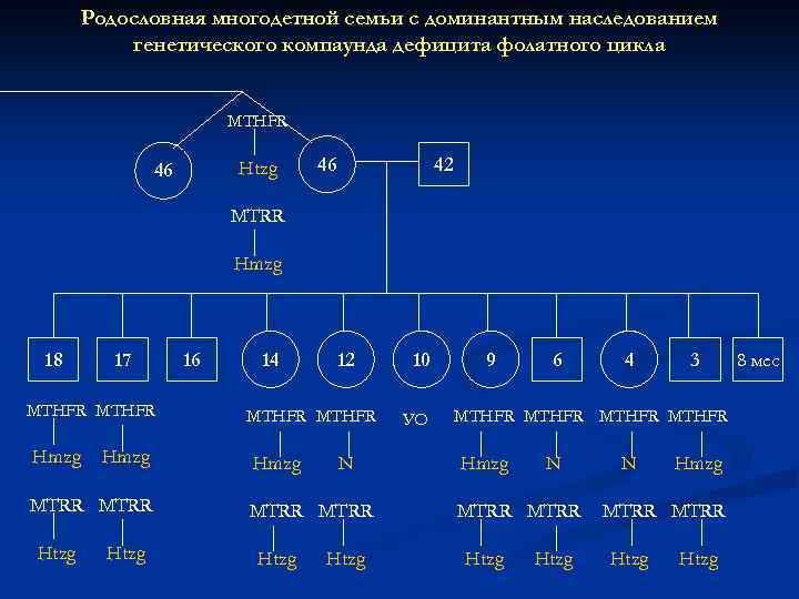 Родословная многодетной семьи с доминантным наследованием генетического компаунда дефицита фолатного цикла MTHFR Htzg 46