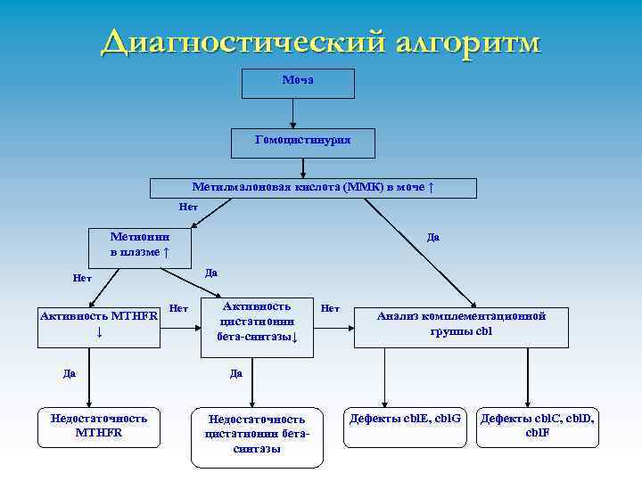 Диагностический алгоритм Моча Гомоцистинурия Метилмалоновая кислота (ММК) в моче ↑ Нет Метионин в плазме