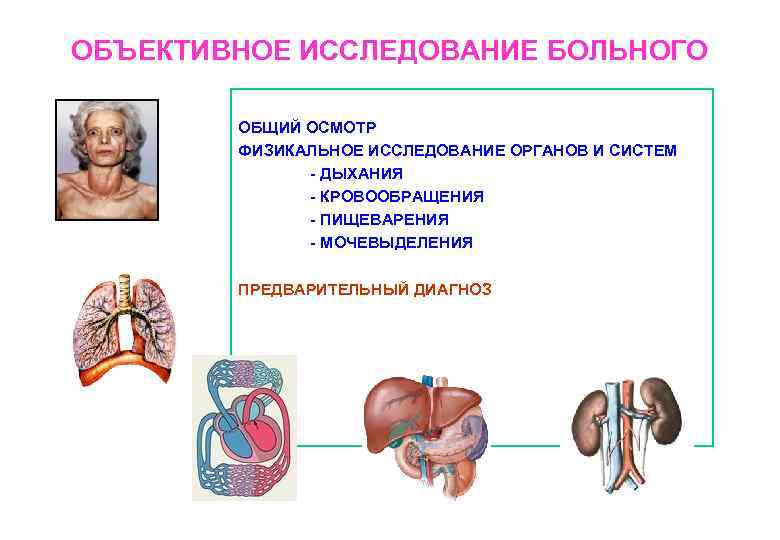 Схема клинического исследования больного