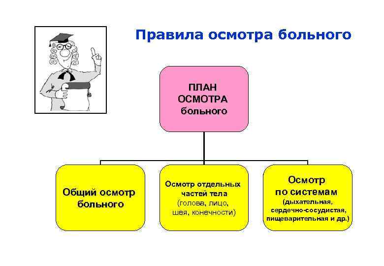 Правила осмотра. Осмотр отдельных частей туловища. Общий осмотр включает в себя. Значение осмотра отдельных частей тела.. Диагностическое значение осмотра отдельных частей тела.