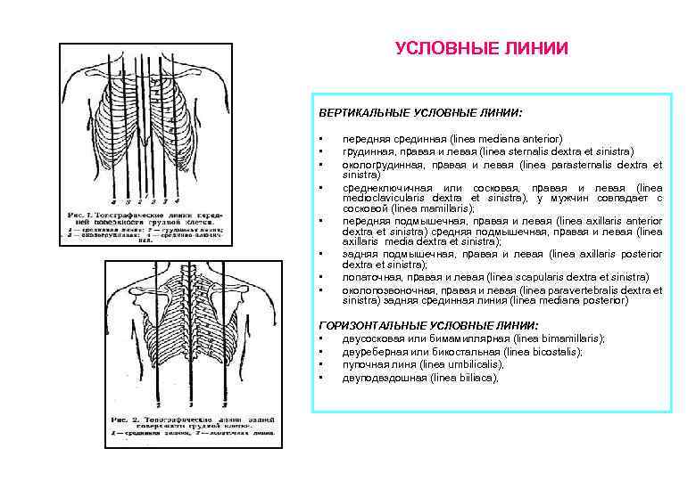 Пропедевтика внутренних болезней в рисунках таблицах и схемах шуленин