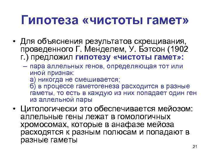 Гипотеза «чистоты гамет» • Для объяснения результатов скрещивания, проведенного Г. Менделем, У. Бэтсон (1902