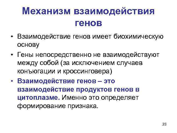 Механизм взаимодействия генов • Взаимодействие генов имеет биохимическую основу • Гены непосредственно не взаимодействуют