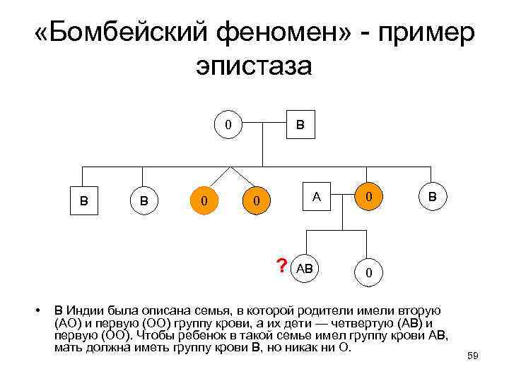 «Бомбейский феномен» - пример эпистаза В 0 В В 0 А 0 ?