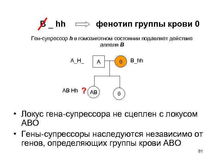 В _ hh фенотип группы крови 0 Ген-супрессор h в гомозиготном состоянии подавляет действие