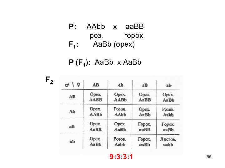 Р: F 1: ААbb x aa. BB роз. горох. Aa. Bb (орех) P (F