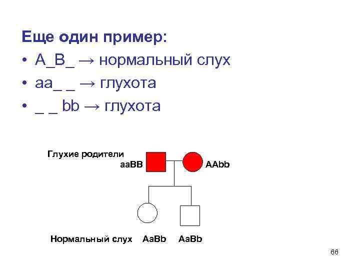 Еще один пример: • А_В_ → нормальный слух • аа_ _ → глухота •