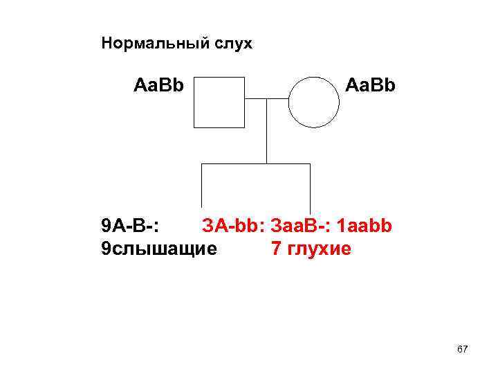 Нормальный слух Aa. Bb 9 A-B-: ЗА-bb: Заа. В-: 1 aabb 9 слышащие 7