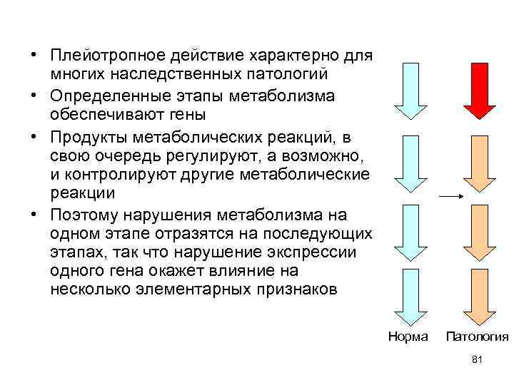  • Плейотропное действие характерно для многих наследственных патологий • Определенные этапы метаболизма обеспечивают