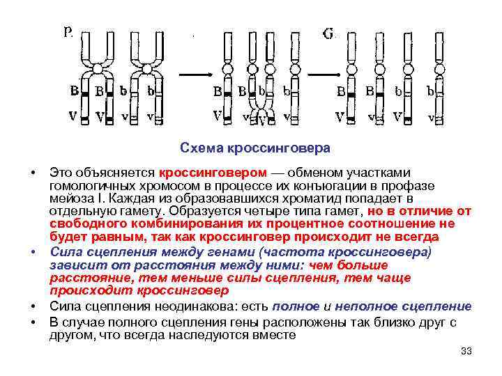 Процесс обмена хромосом. Схема процесса кроссинговера. Схема кроссинговера генетика. Схема кроссинговера сцепленных генов. Схема кроссинговера хромосом.