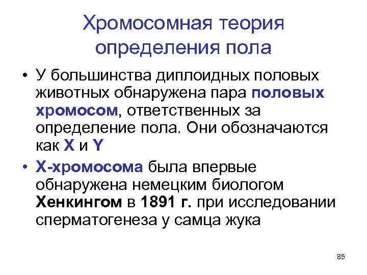 Хромосомная теория определения пола • У большинства диплоидных половых животных обнаружена пара половых хромосом,