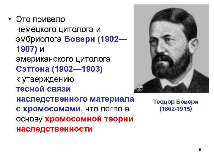  • Это привело немецкого цитолога и эмбриолога Бовери (1902— 1907) и американского цитолога