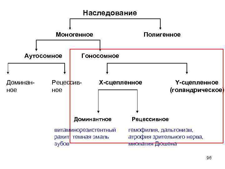 Типы моногенного наследования схема