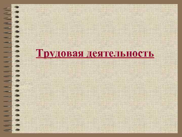 Трудовая деятельность 