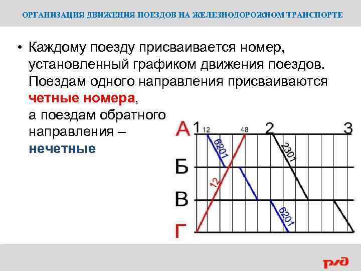 ОРГАНИЗАЦИЯ ДВИЖЕНИЯ ПОЕЗДОВ НА ЖЕЛЕЗНОДОРОЖНОМ ТРАНСПОРТЕ • Каждому поезду присваивается номер, установленный графиком движения