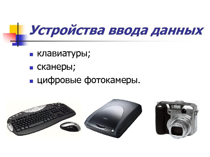 Устройства ввода данных n n n клавиатуры; сканеры; цифровые фотокамеры. 