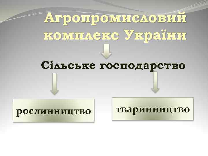 Агропромисловий комплекс України Сільське господарство рослинництво тваринництво 