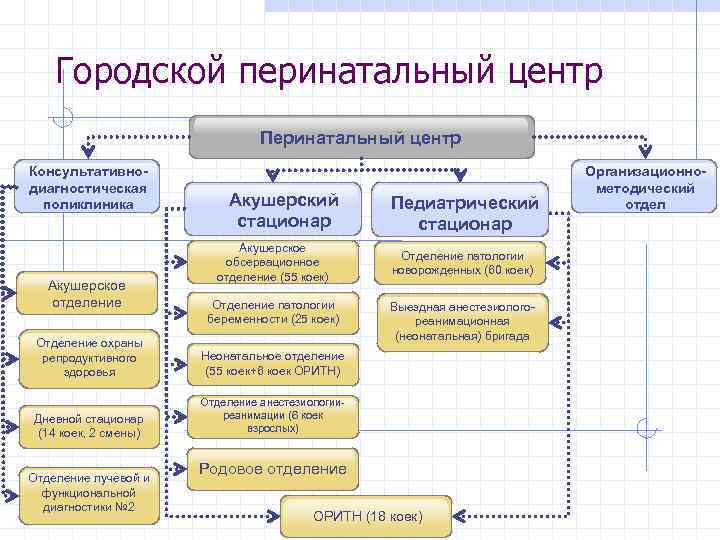 Схема приемного отделения роддома