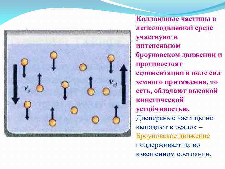 Коллоидные частицы в легкоподвижной среде участвуют в интенсивном броуновском движении и противостоят седиментации в