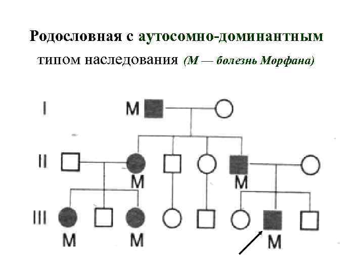 Аутосомно доминантное наследование болезни