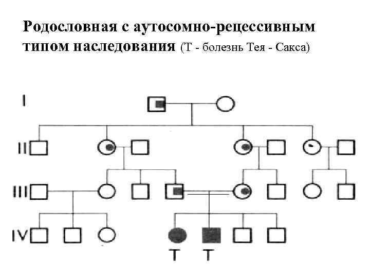 Аутосомно рецессивный тип наследования