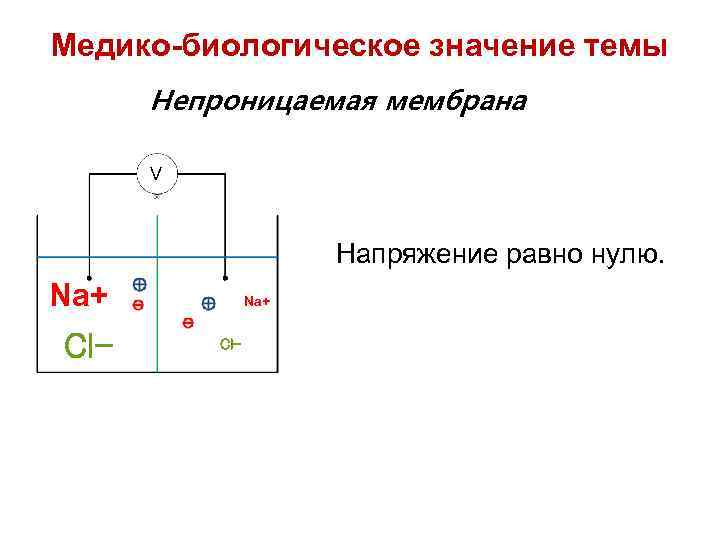 Медико-биологическое значение темы Непроницаемая мембрана V Напряжение равно нулю. Na+ Cl- 