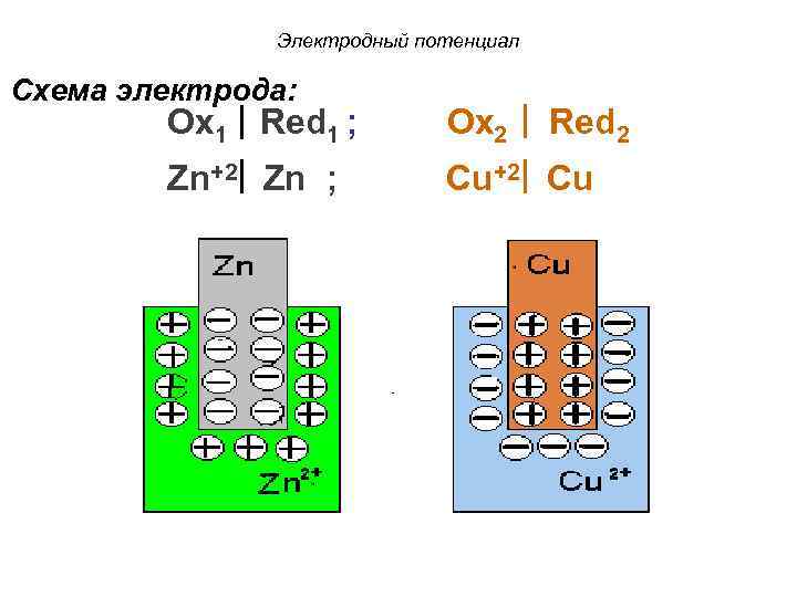 Электродный потенциал Схема электрода: Ox 1 Red 1 ; Zn+2 Zn ; Ox 2