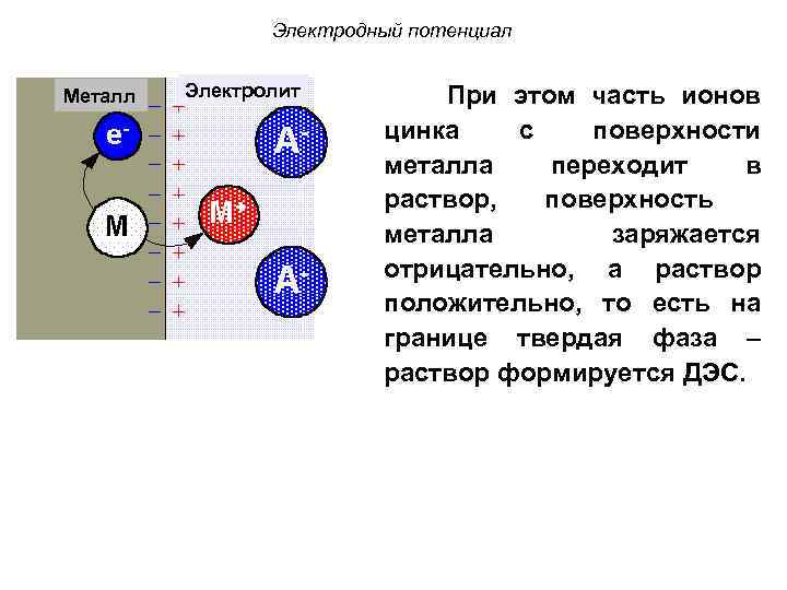 Электродный потенциал Металл Электролит При этом часть ионов цинка с поверхности металла переходит в