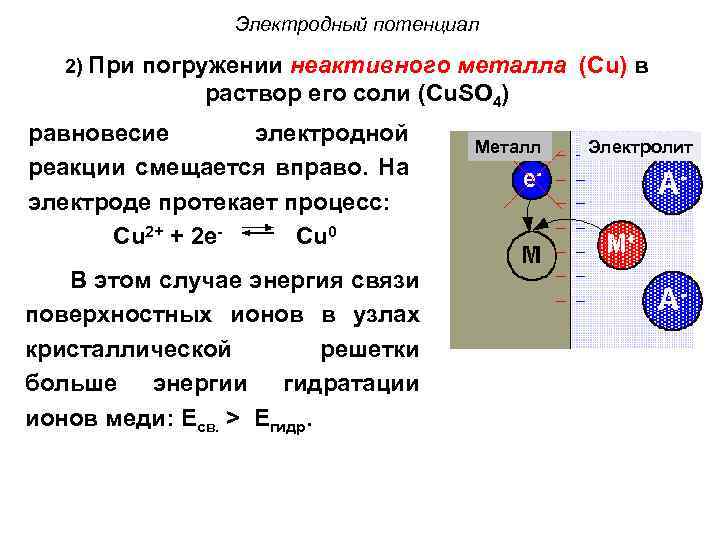 Электродный потенциал 2) При погружении неактивного металла (Cu) в раствор его соли (Cu. SO
