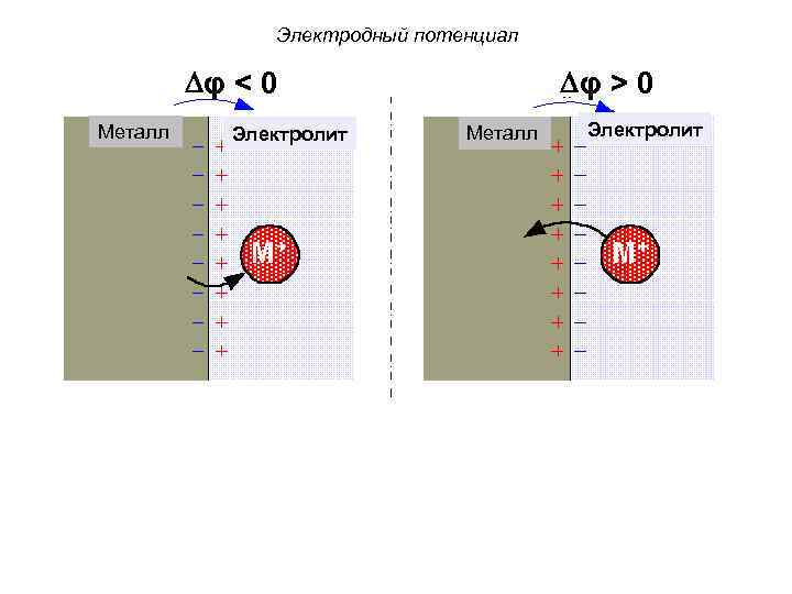 Электродный потенциал φ < 0 Металл Электролит φ > 0 Металл No current Электролит