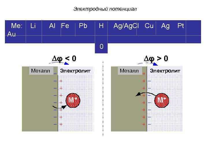 Электродный потенциал Ме: Li Al Fe Pb H Ag/Ag. Cl Cu Ag Pt Au