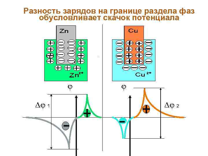 Разность зарядов на границе раздела фаз обусловливает скачок потенциала 1 2 