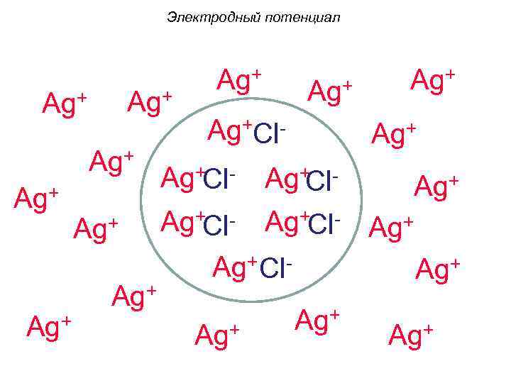 Электродный потенциал Ag+ Ag+ Ag+Cl- Ag+ Ag+ Ag+Cl- Ag+Cl. Ag+ Ag+ 