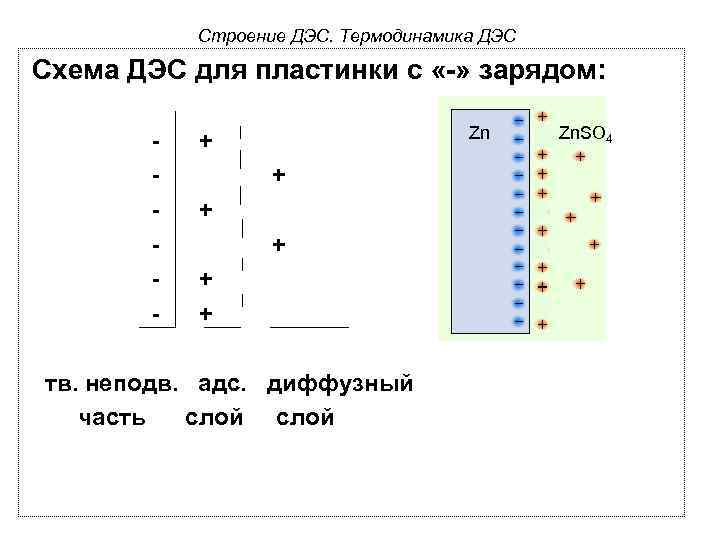 Строение ДЭС. Термодинамика ДЭС Схема ДЭС для пластинки с «-» зарядом: - Zn +