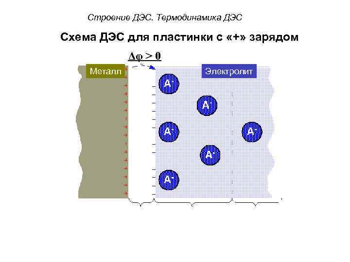 Строение ДЭС. Термодинамика ДЭС Схема ДЭС для пластинки с «+» зарядом Δφ > 0