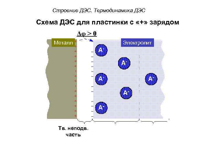 Строение ДЭС. Термодинамика ДЭС Схема ДЭС для пластинки с «+» зарядом Δφ > 0