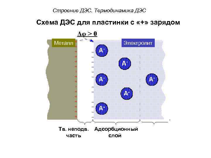 Строение ДЭС. Термодинамика ДЭС Схема ДЭС для пластинки с «+» зарядом Δφ > 0