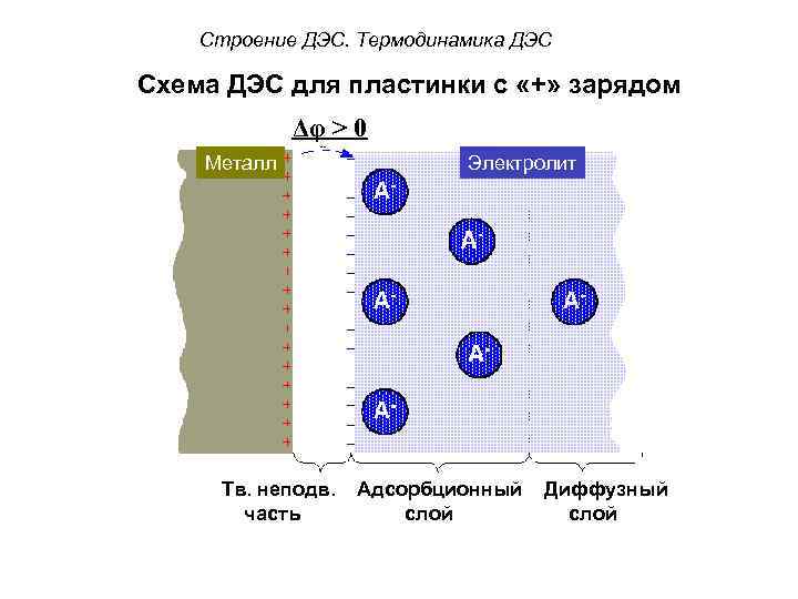 Строение ДЭС. Термодинамика ДЭС Схема ДЭС для пластинки с «+» зарядом Δφ > 0