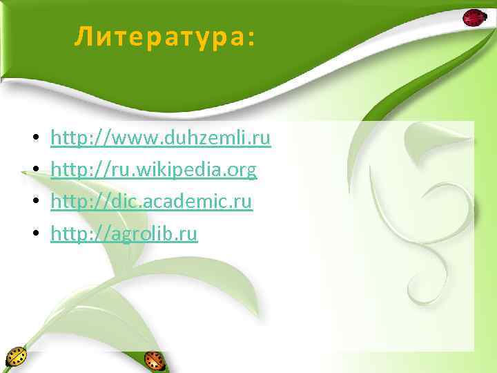 Литература: • • http: //www. duhzemli. ru http: //ru. wikipedia. org http: //dic. academic.